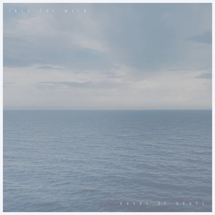 Into the Wild album cover by Havre De Grace
