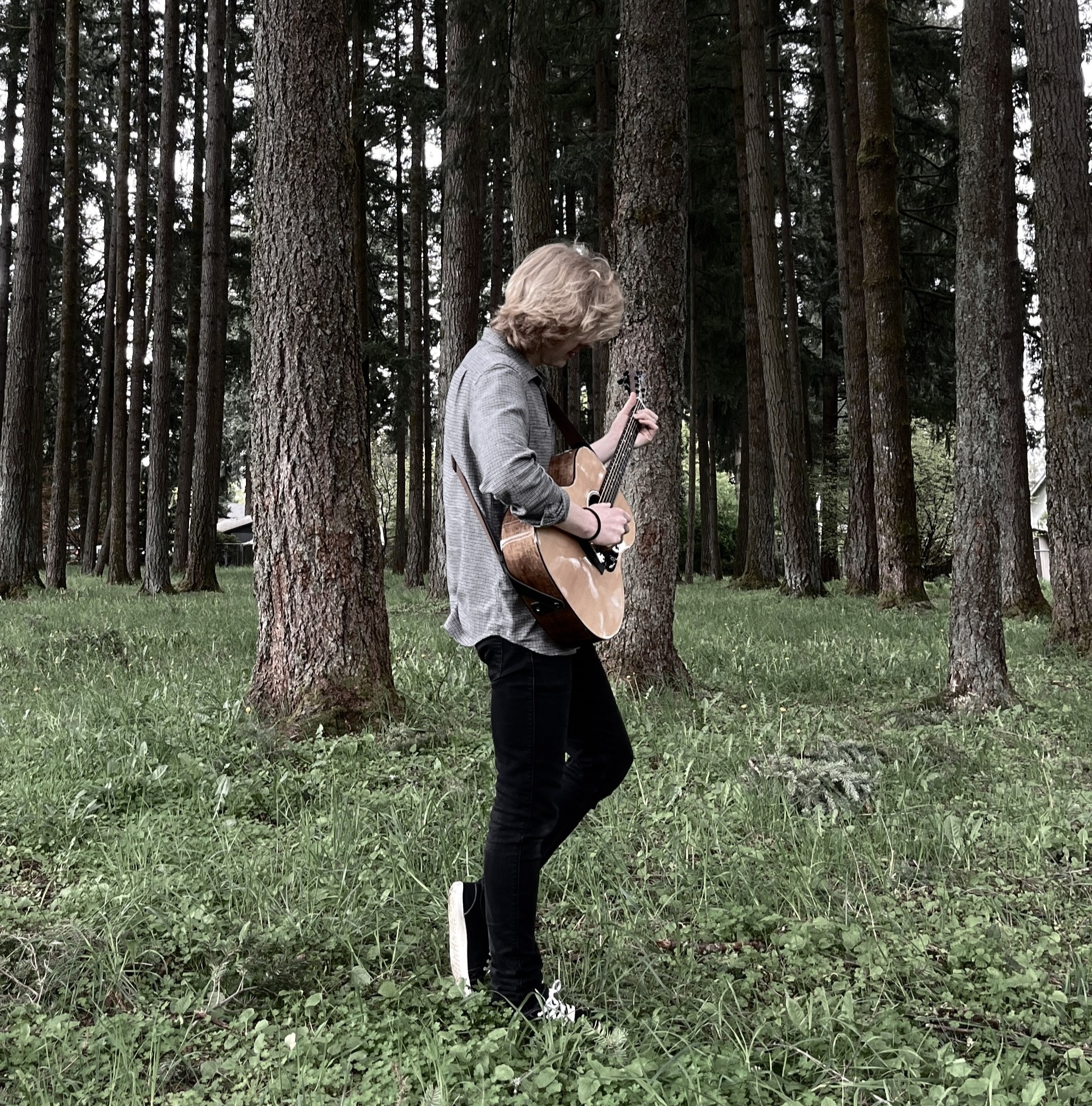 Havre De Grace profile portrait